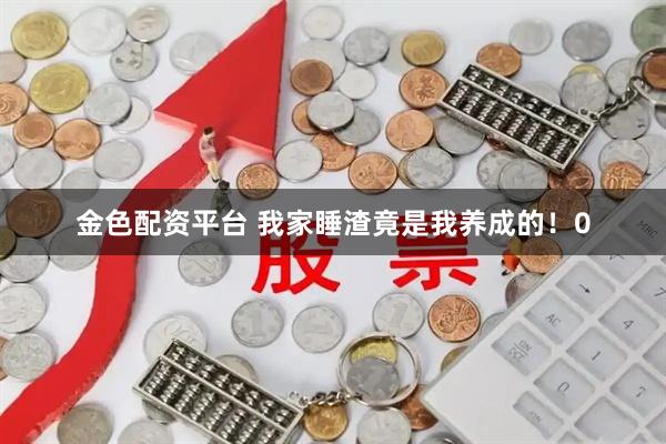 金色配资平台 我家睡渣竟是我养成的！0