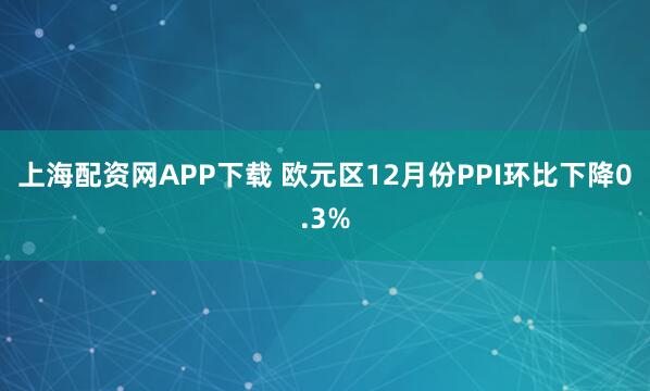 上海配资网APP下载 欧元区12月份PPI环比下降0.3%